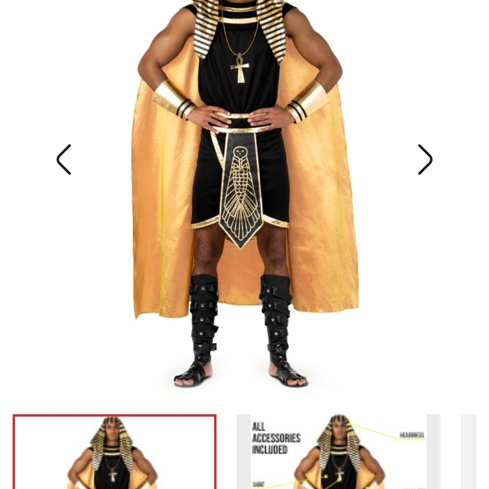 Men's Egyptian Pharaoh Costume - Black and Gold